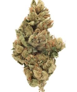 buy tahoe og strain.jpeg