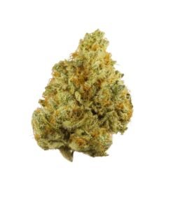 buy tangie strain online.jpg
