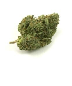 buy trainwreck strain online.jpg