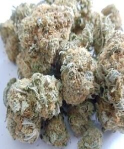 buy white rhino strain.jpg