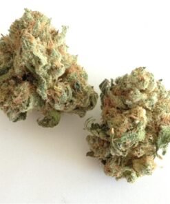 buy white widow online.jpg
