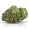 buy cinderella 99 strain online.jpg